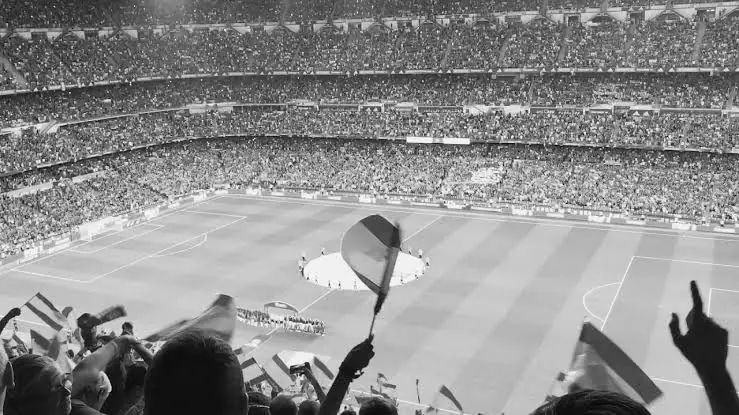 Fans waving flags in a full stadium